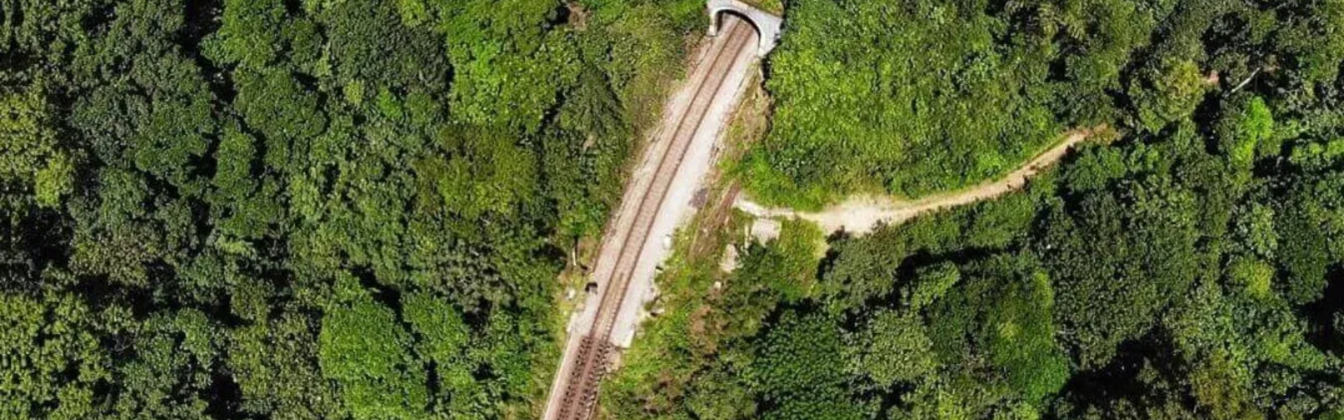 sakleshpur-railway-trekking