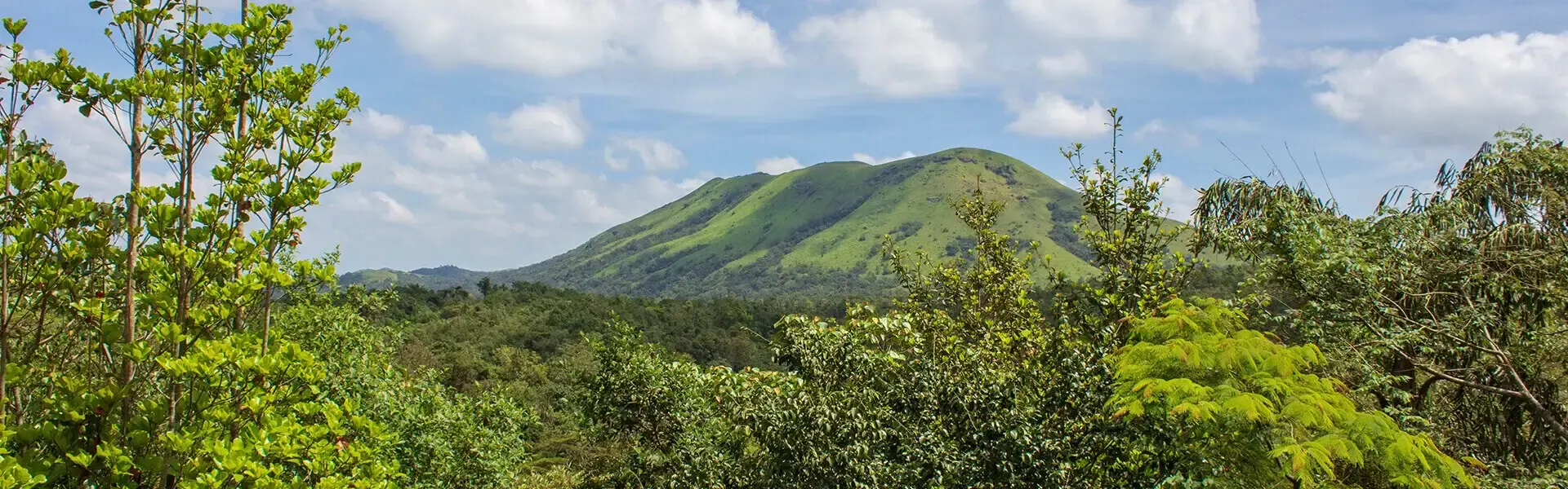 mookanana-resorts-sakleshpur