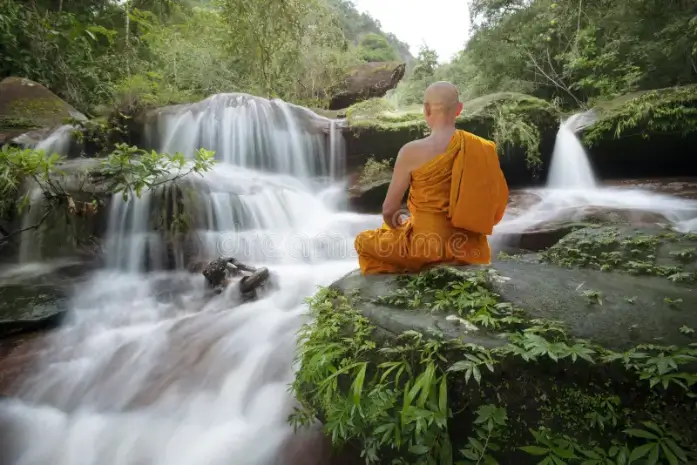 Amidst Waterfalls Sakleshpur